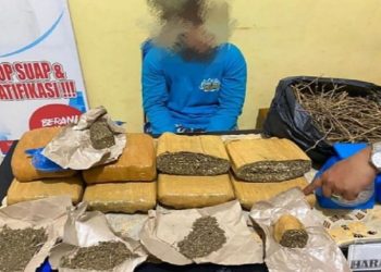 Bawa 7 Kg Ganja Kering, Pelajar di Baturaja Ditangkap BNN