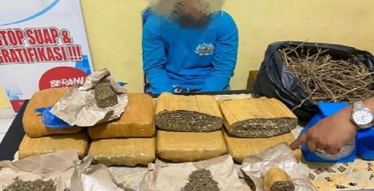Bawa 7 Kg Ganja Kering, Pelajar di Baturaja Ditangkap BNN