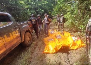Berulah Lagi, KKB Serang Pekerja Proyek Jalan, 4 Warga Sulsel Tewas di Teluk Bintun Papua Barat