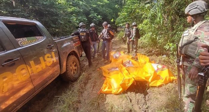 Berulah Lagi, KKB Serang Pekerja Proyek Jalan, 4 Warga Sulsel Tewas di Teluk Bintun Papua Barat
