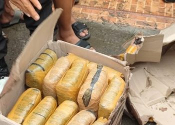 Bercecer di Jalan, Warga Deli Serdang Pungut 37 Kg Ganja Kering Tak Bertuan