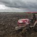 Greenpeace Sebut Proyek Food Estate Akan Gunduli Hutan 3 Juta Hektare