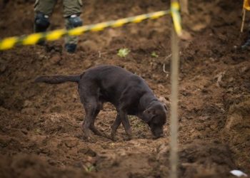 Hari ke-4 Pasca Gempa Cianjur: 310 Tewas, 73 Ribu Warga Mengungsi