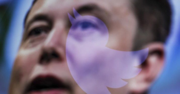 Berkuasa Total, Elon Musk CEO Twitter dan Direktur Tunggal