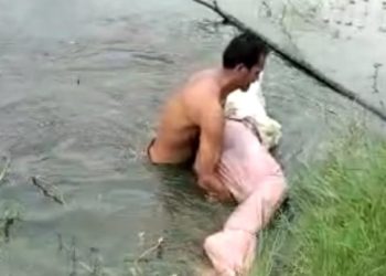 Pelalawan Geger, Mayat Membusuk Tanpa Identitas Mengapung di Rawa