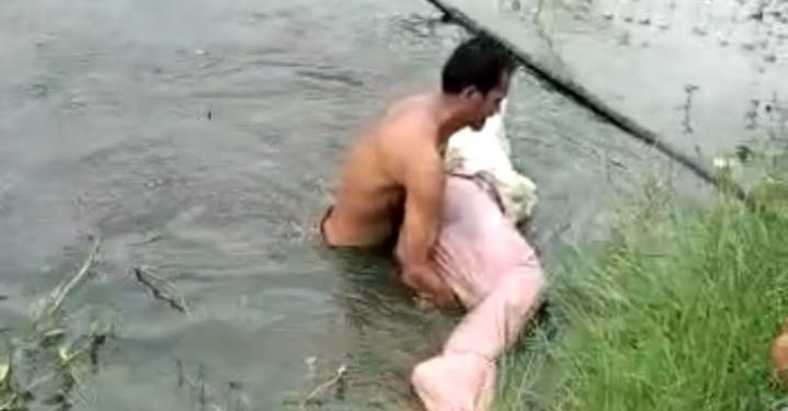 Pelalawan Geger, Mayat Membusuk Tanpa Identitas Mengapung di Rawa