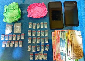 Nyambi Jual Narkoba, IRT di Pekanbaru Ditangkap Polisi