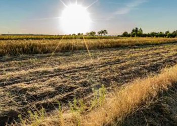 Musim gugur yang luar biasa hangat di Eropa menimbulkan kekhawatiran iklim