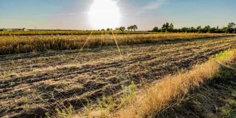 Musim gugur yang luar biasa hangat di Eropa menimbulkan kekhawatiran iklim
