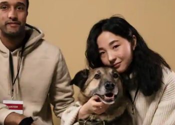 Berinteraksi dengan anjing dapat membantu Anda mengurangi stres dan depresi