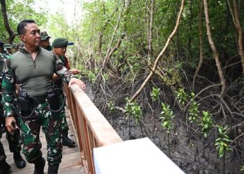 DPR Minta Jokowi Kirim Nama Panglima TNI Baru Sebelum 25 November