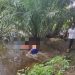 Epilepsi Kambuh, Warga Desa Kota Garo Tewas Tenggelam di Sungai