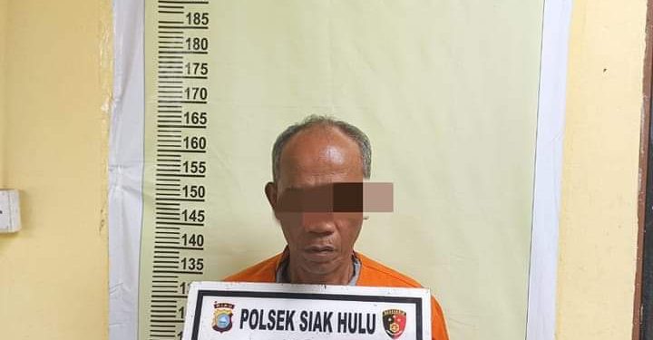 Cabuli Bocah, Kakek Bauk Tanah Ini Ditangkap Polsek Siak Hulu