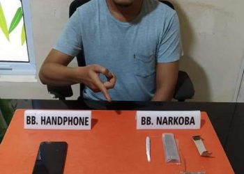 Simpan Daun Ganja Kering, Warga Salo Timur Diringkus Satnarkoba Polres Kampar