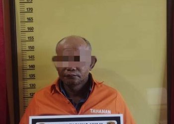Curi 1445 Tandan Sawit Milik PT BSP, Pria Tua Ini Diringkus Polisi