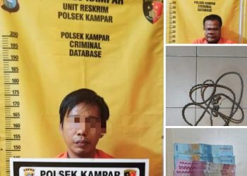Polres Kampar Tangkap Pelaku Pencurian dan Penadah Kambing, Satu DPO