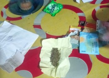 Simpan Ganja dan Jadi Agen Judi Togel, Buruh di Pariaman Diciduk Polisi