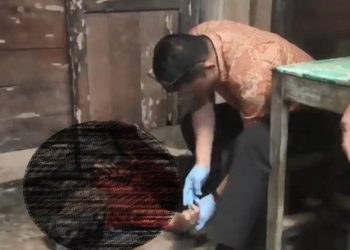 Gunungsitoli Geger, Lansia Ditemukan Tewas dengan Pisau Menancap di Perut