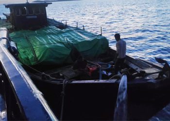 Selundupkan Kayu Bakau ke Singapura, KM Sanjaya Putra Dicegah BC Batam