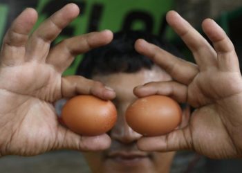 Sering Makan Telur Bikin Kolesterol Tinggi, Mitos atau Fakta?