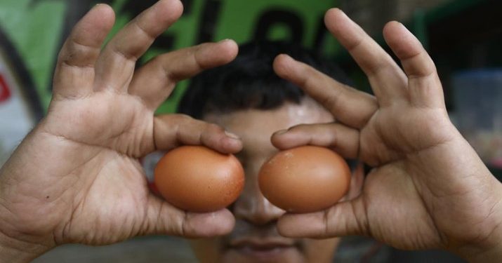 Sering Makan Telur Bikin Kolesterol Tinggi, Mitos atau Fakta?