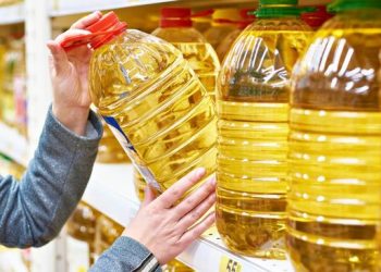 5 Jenis Minyak yang Baik untuk Penderita Kolesterol