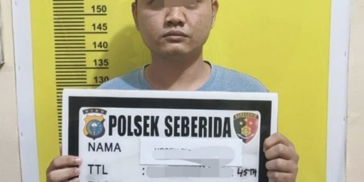 Jual Chip Higgs Domino, Pedagang Arloji di Seberida Masuk Sel