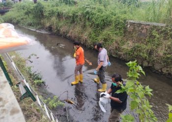 Tragis, Mayat Bayi Terbungkus Plastik Ditemukan Pencari Ikan di Cilegon