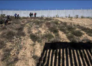 Pria Gujarat Jatuh Hingga Meninggal Dari Tembok Perbatasan AS Saat Mencoba Masuk Secara Ilegal