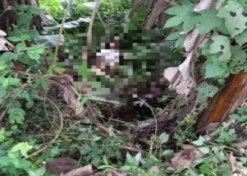 Ditemukan Tergeletak di Semak-semak Klapanunggal Bogor, Kondisi Gadis Belia Ini Berangsur Pulih