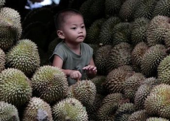 Durian Memicu Kolesterol Tinggi, Mitos atau Fakta Nih?