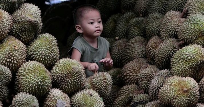 Durian Memicu Kolesterol Tinggi, Mitos atau Fakta Nih?