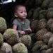 Durian Memicu Kolesterol Tinggi, Mitos atau Fakta Nih?
