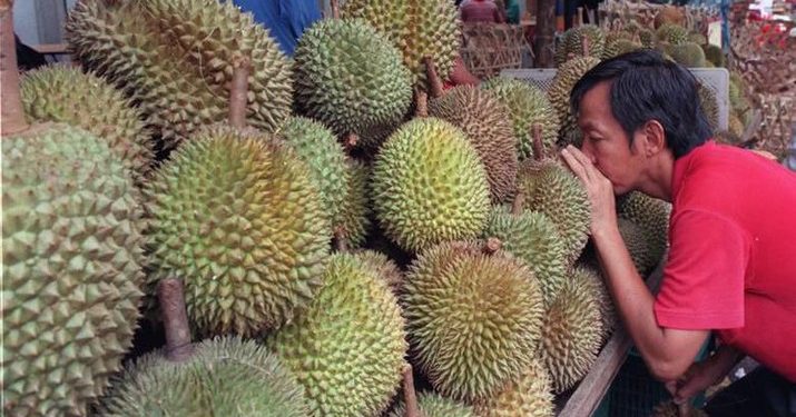 Gara-gara Cuaca Ekstrem, Harga Durian Hingga Mangga ‘Remuk’!