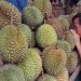 Gara-gara Cuaca Ekstrem, Harga Durian Hingga Mangga ‘Remuk’!