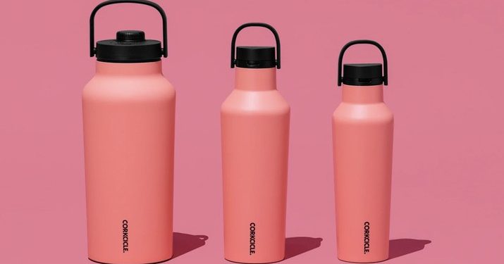 Mau Punya Botol Corkcicle yang Viral? Siapkan Duit Segini