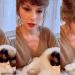 Kucing Taylor Swift Punya Kekayaan Rp1,5 Triliun, Kok Bisa?