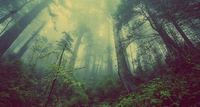 Anggota Klub Motor Hilang di Hutan Banjalaweh, Begini Kronologinya