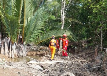 Asik Mandi di Sungai, Bocah 11 Tahun Diterkam Buaya di Kaltim, SAR Masih Memburu Predator