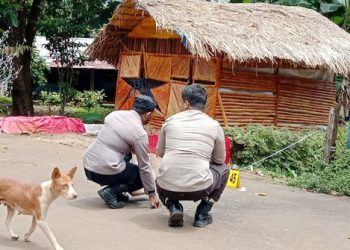 Teror, Bom Rakitan Diledakan di Samping Rumah Wartawan Senior Papua