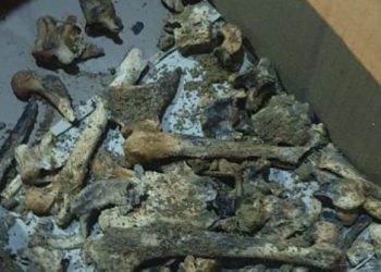 Heboh, Warga Jambi Temukan Tulang Belulang dalam Sarung