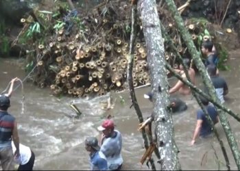 Kerja Bakti, Warga Lumajang Tewas Tertimpa Bambu
