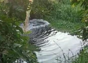 Video Berdurasi 29 Detik Pembuangan Limbah Diduga Milik PKS PT SJML di Inhu Riau