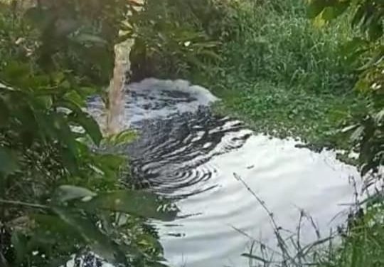 Video Berdurasi 29 Detik Pembuangan Limbah Diduga Milik PKS PT SJML di Inhu Riau