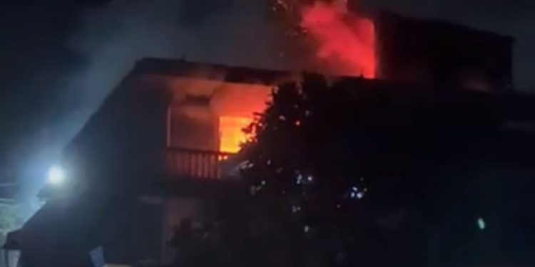 Gas Bocor, Sijago Merah Lahap Rumah Makan Ayam Geprek di Tanjungpinang