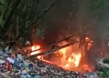 Diamuk Massa, 2 Pencuri Kerbau di Karo Sumatera Utara Tewas