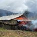 Kembali Tebar Teror, Kelompok Kriminal Bersenjata Bakar Rumah Warga di Ilaga Puncak