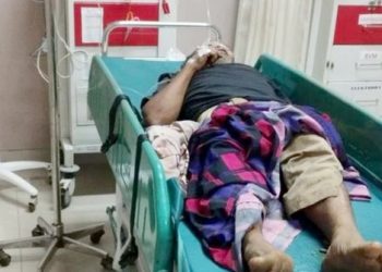 Pasutri Ditimpa Pohon Kelapa Pulang Dari Sawah, Istri Meninggal Suami Kritis