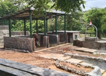 Gagal Ginjal, Gajah Betina di Semarang Zoo Mati