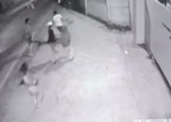 Bacok Seorang Warga Cisauk, Tiga Remaja Usia Dibawah Tahun Diamankan Polisi